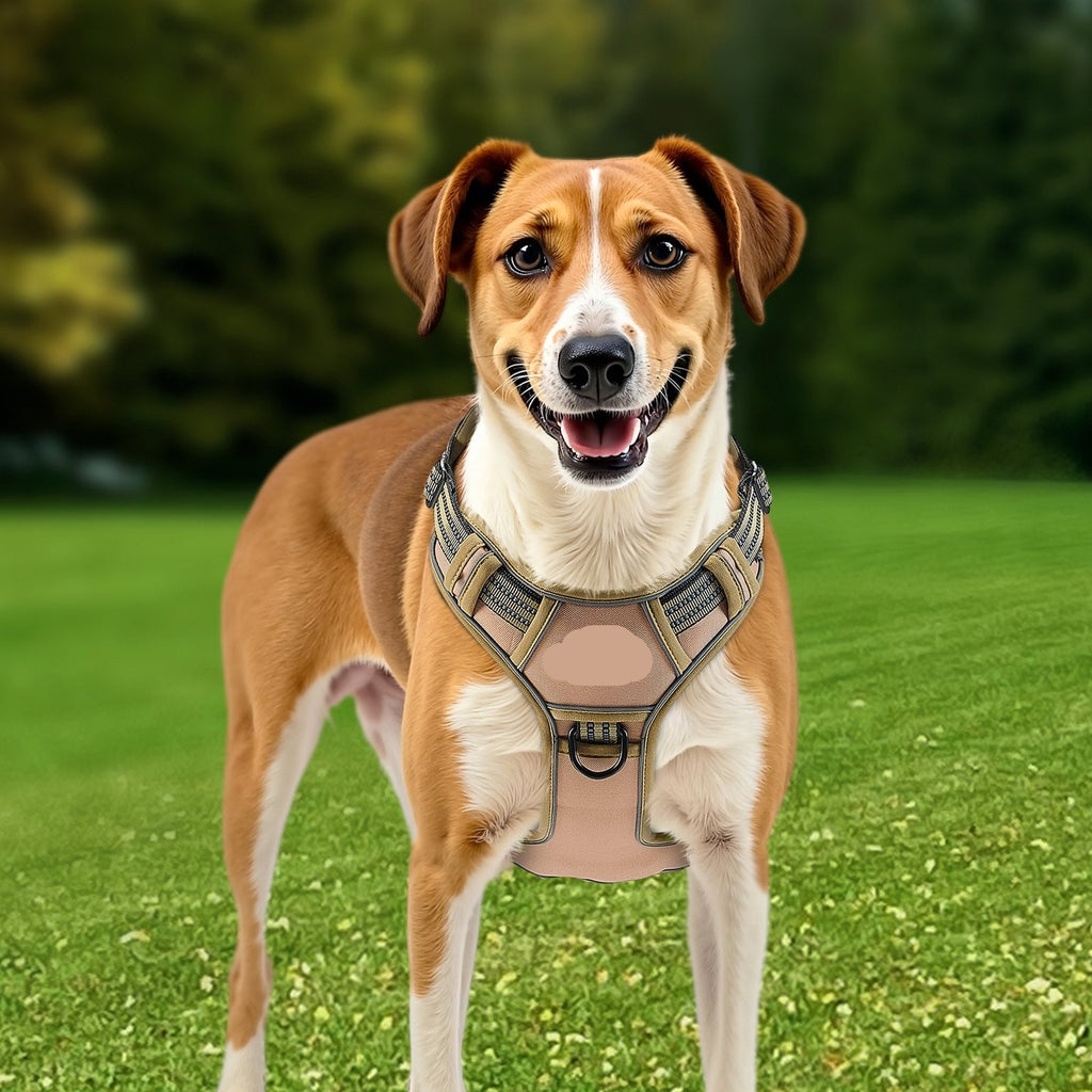 Dog wearing a VEVOR harness on a grassy field