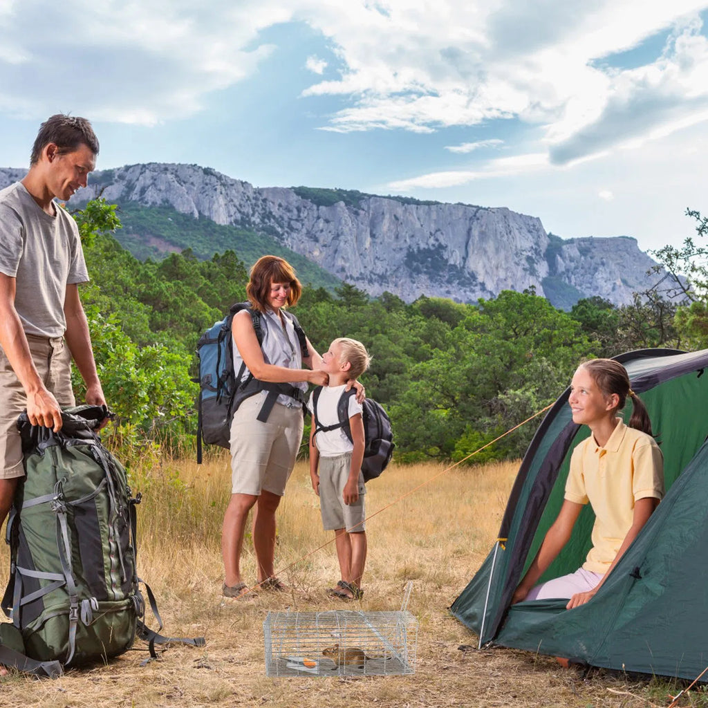 Foldable Humane Rat Trap Cage –  Rodent