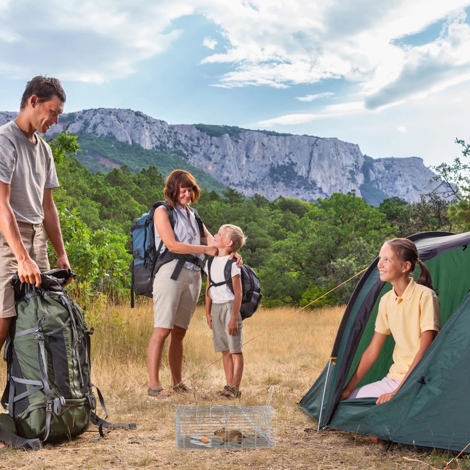 Foldable Humane Rat Trap Cage –  Rodent