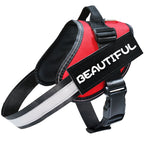 Reflective Dog Leash & Harness Set