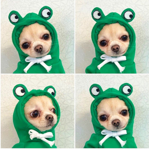 Cute Fruit Hoodie for Small Dogs & Cats