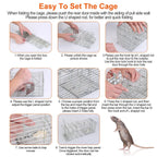 Foldable Humane Rat Trap Cage –  Rodent