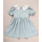 Toddler Girls Smocked Puff Sleeve Dress