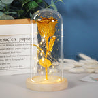 Eternal Rose LED Light in Glass Dome