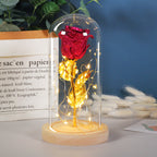 Eternal Rose LED Light in Glass Dome