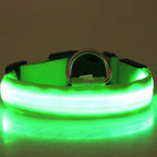 LED Luminous Pet Dog Collar