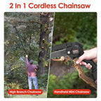 2-in-1 Cordless Pole Saw & Mini Chainsaw