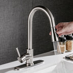 Pull-Out Hot & Cold Kitchen Sink Faucet