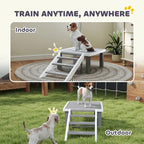 Wooden Dog Training Place Board with Ladder