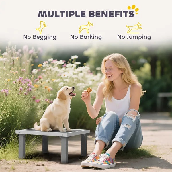 Wooden Dog Training Place Board with Ladder