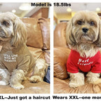 Pet Round Neck T-shirt