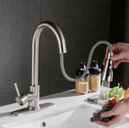Pull-Out Hot & Cold Kitchen Sink Faucet