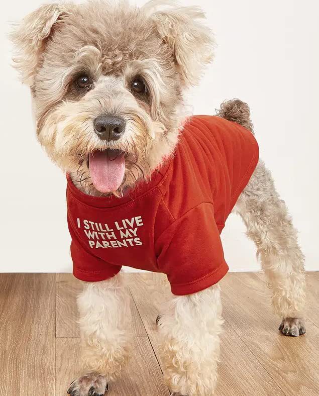 Pet Round Neck T-shirt