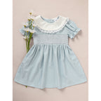 Toddler Girls Smocked Puff Sleeve Dress