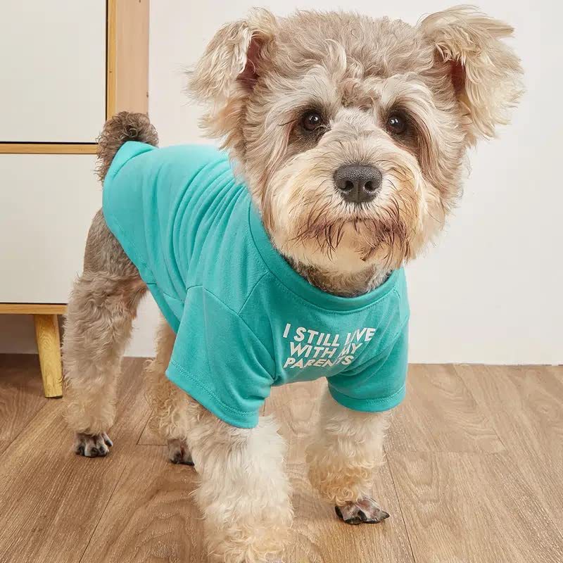 Pet Round Neck T-shirt