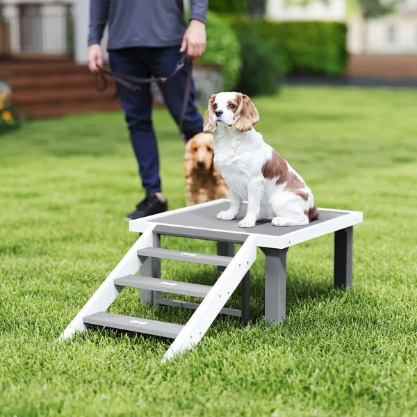 Wooden Dog Training Place Board with Ladder