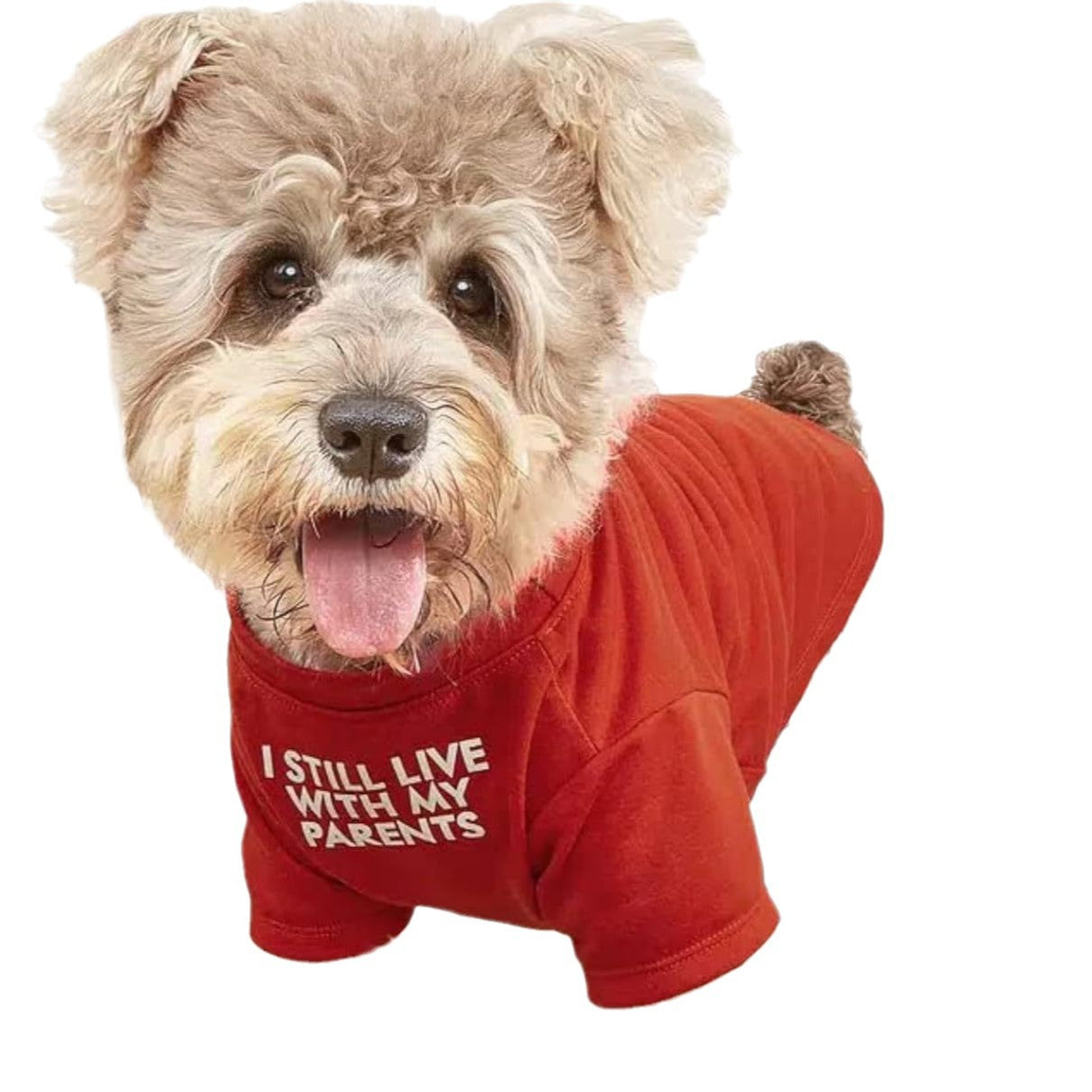 Pet Round Neck T-shirt